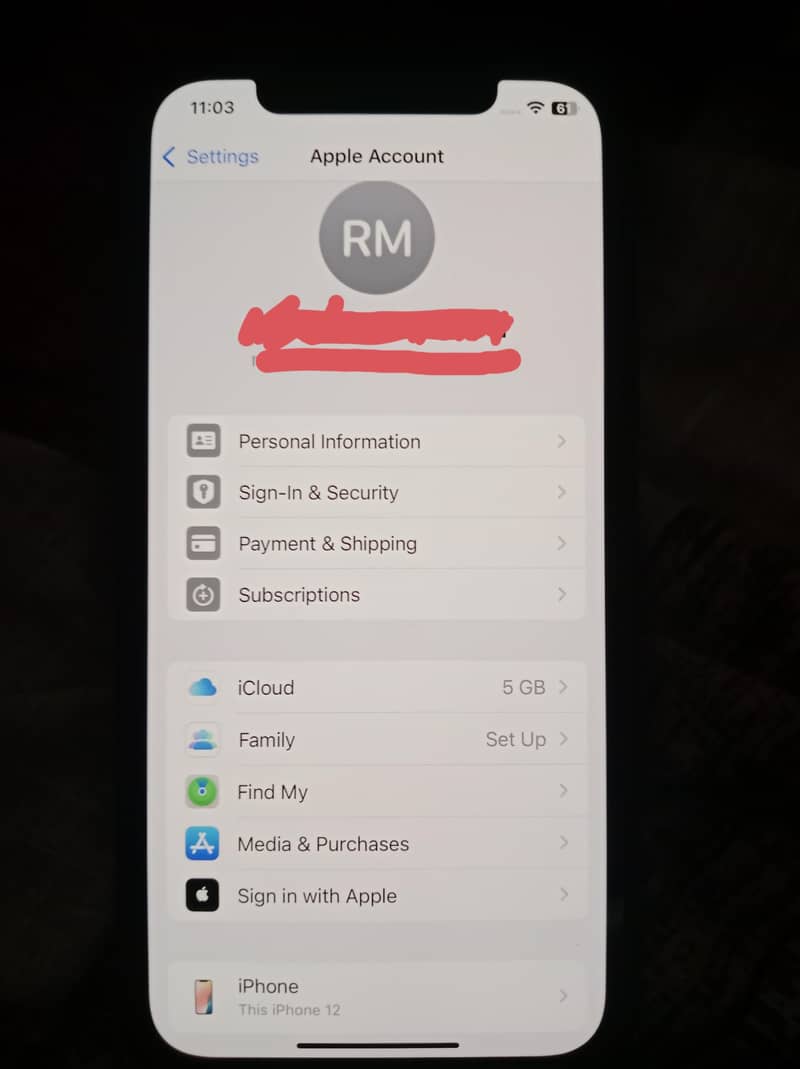 Apple iPhone 12 3