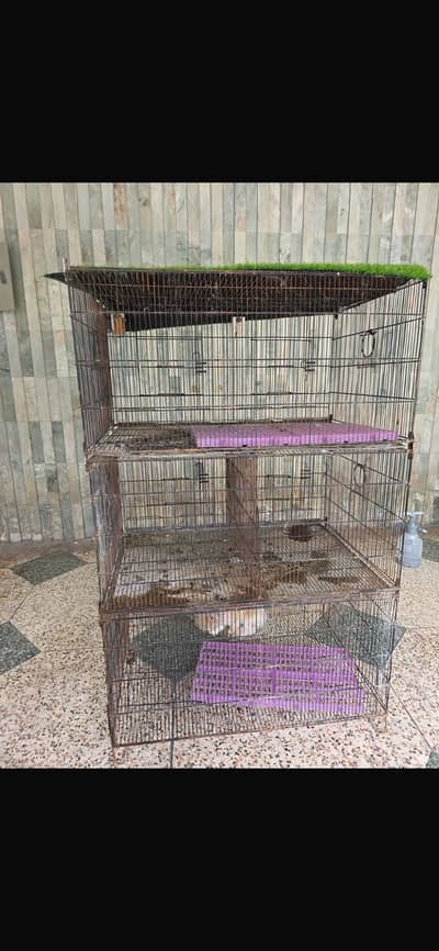 Birds cage