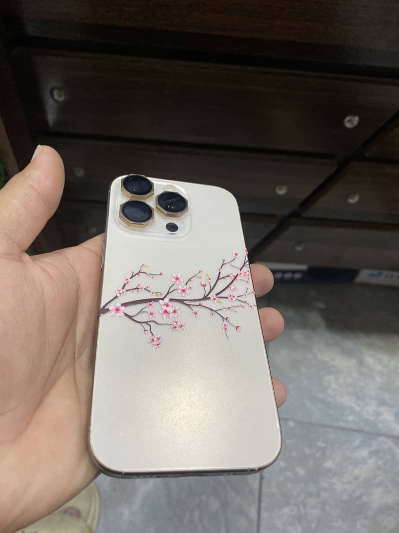 Apple iPhone 16 Pro 2