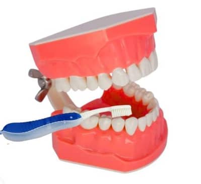 Need experience male female Dentist