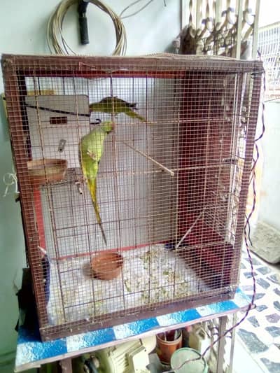 Iron cage