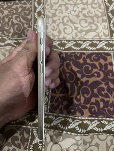 iPhone 6 plus