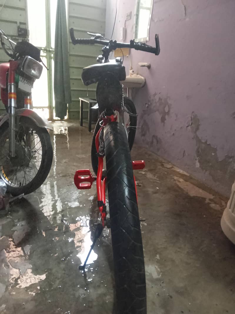full size cycle 1
