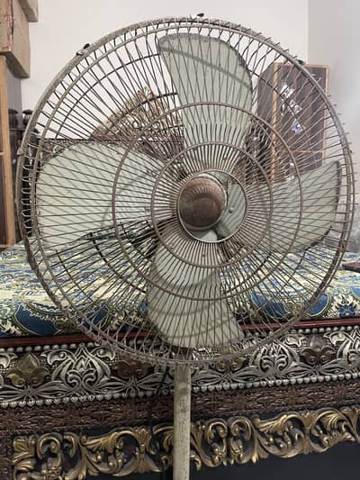 Fan All Ok