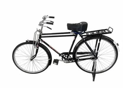 Baba Cycle size 22