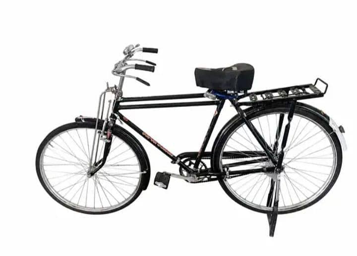 Baba Cycle size 22 0