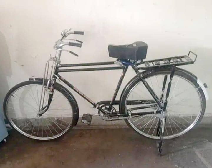 Baba Cycle size 22 1