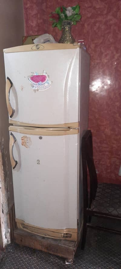 pEL Fridge good condition