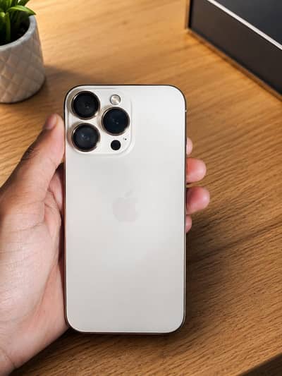 Apple iPhone 13 Pro Non Pta