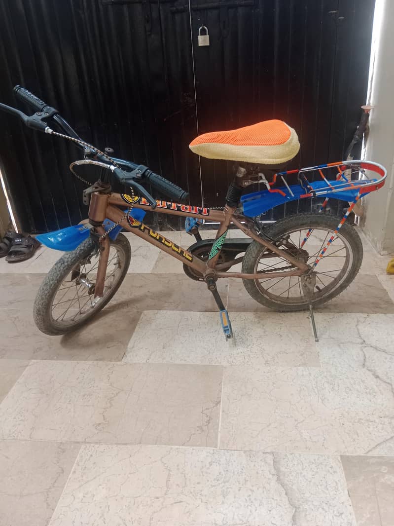Kid cycle 1