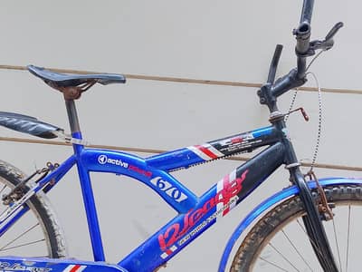 12 SPRINGS Active Power 60 Classic Bicycle For sale.