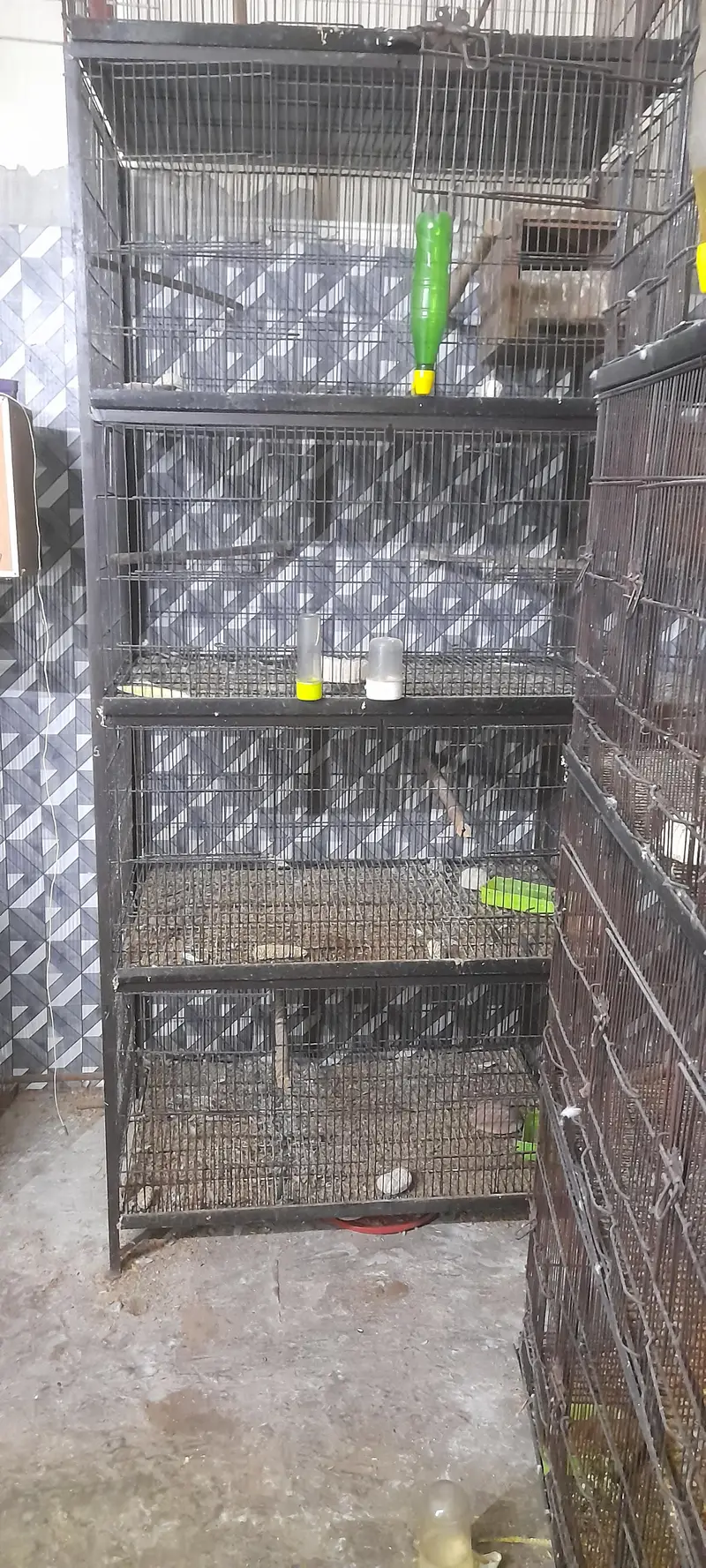 Used Bird Breeding Cages for Sale
