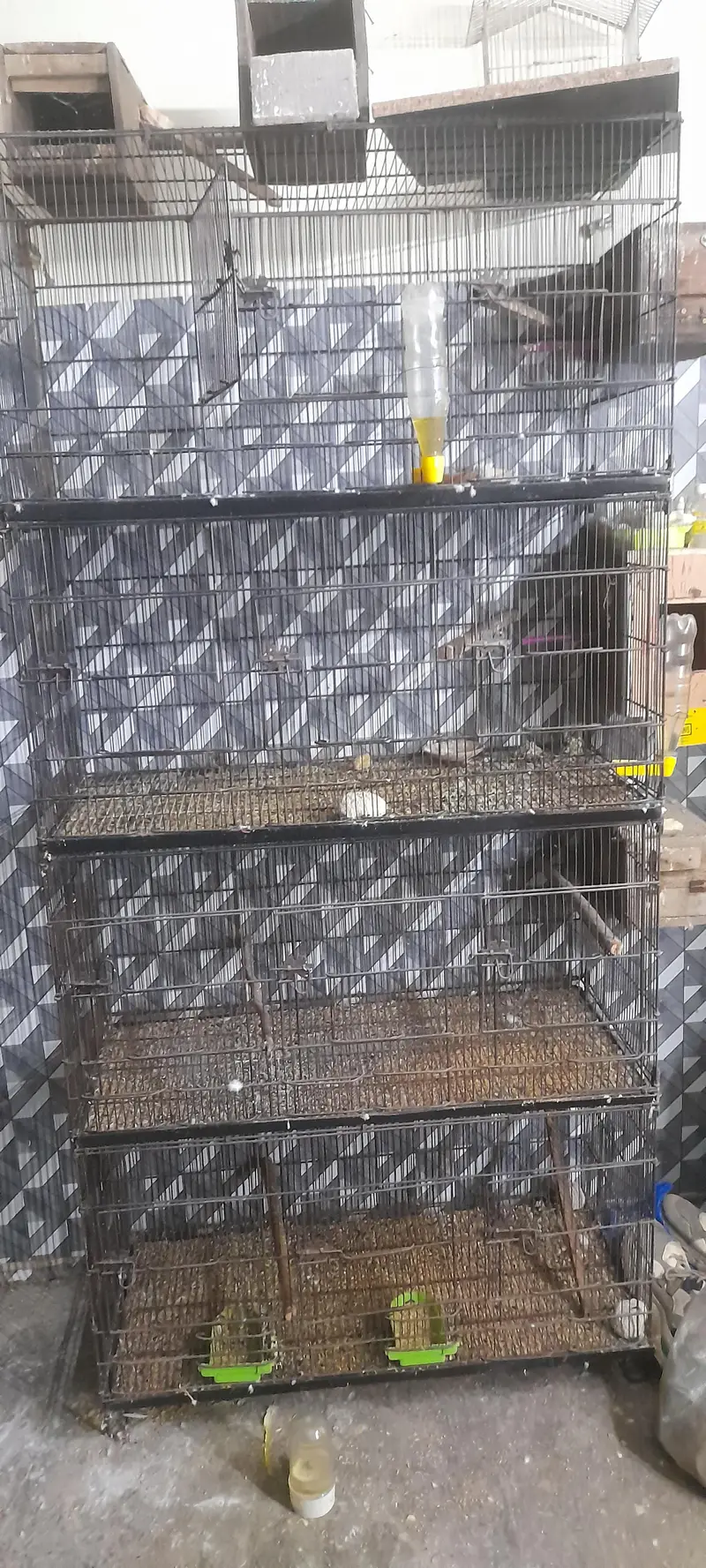 Used Bird Breeding Cages for Sale — photo 3