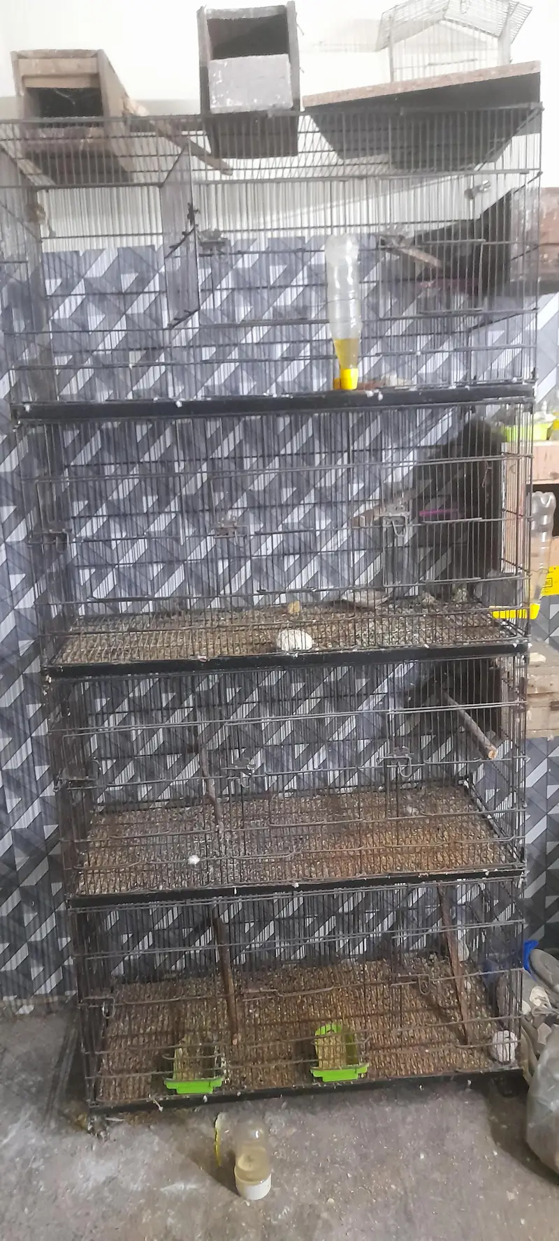 Used Bird Breeding Cages for Sale — photo 4