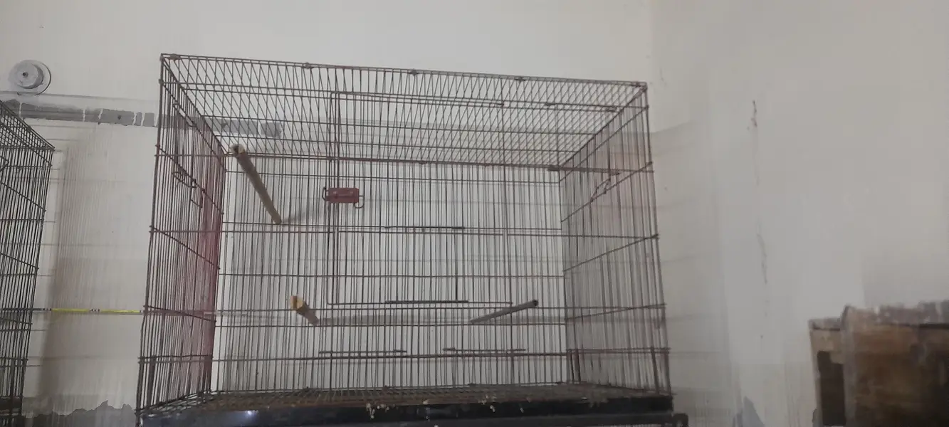 Used Bird Breeding Cages for Sale — photo 5