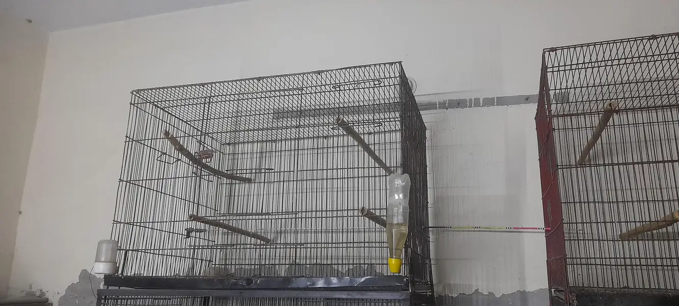 Used Bird Breeding Cages for Sale — photo 6