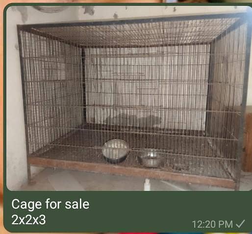 cages 0