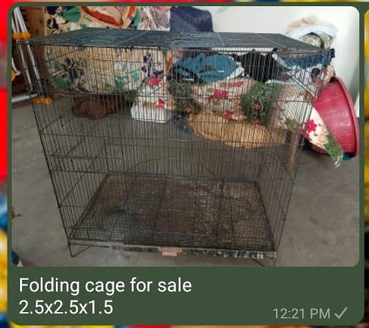 cages 1
