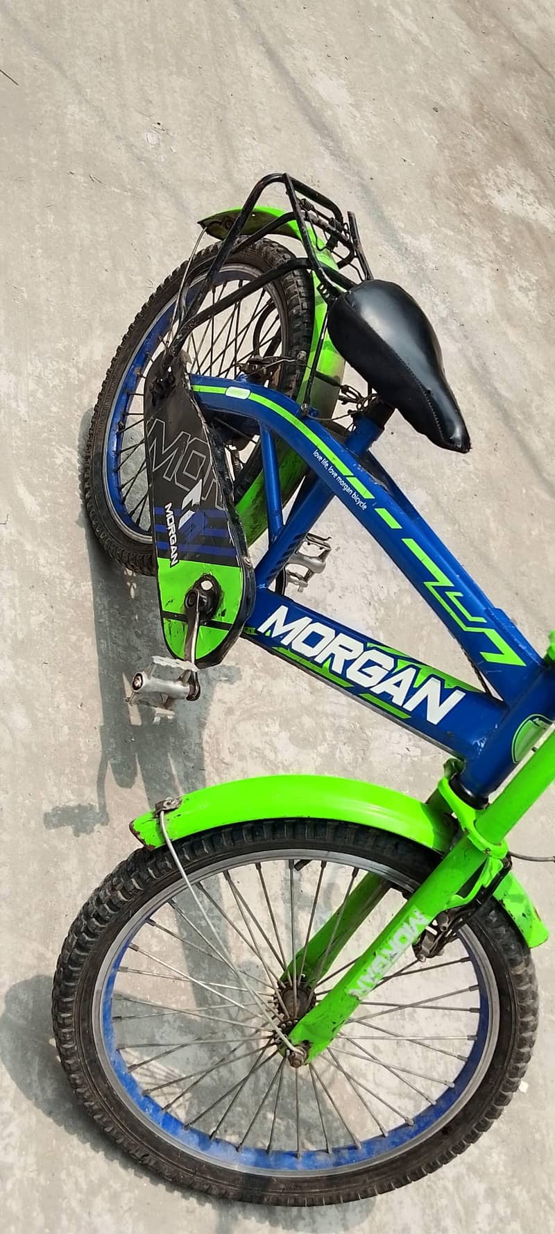 Morgan cycle 0