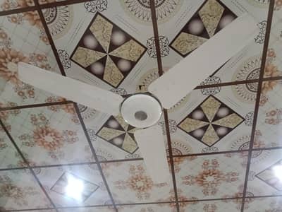 Ek pankha pak fan ka or 2 pankha Karam fan k hai