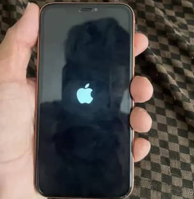 Apple iPhone XR
