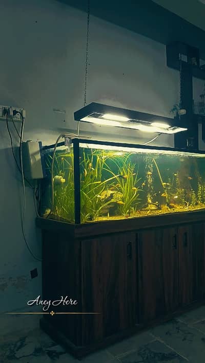 aquarium