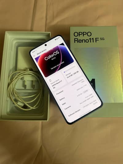 OPPO Reno11 F 5G Box Charger 67W