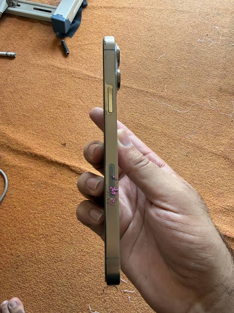 Iphone 13 Pro Max 2