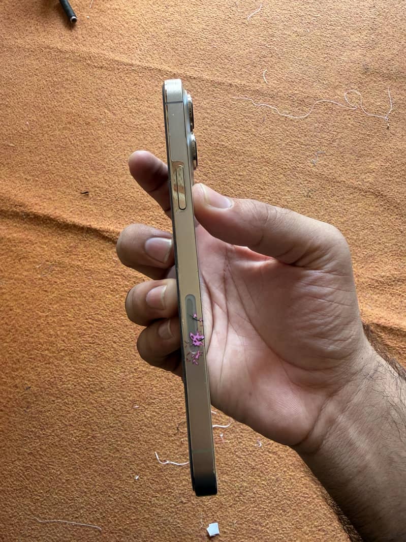 Iphone 13 Pro Max 3