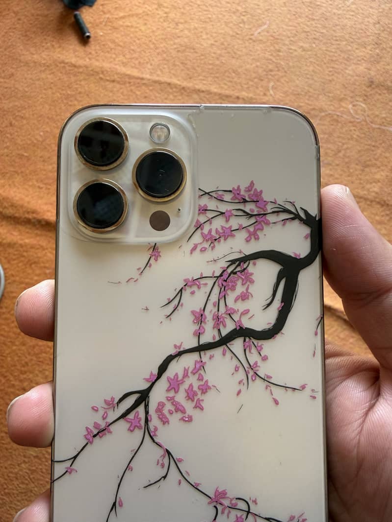 Iphone 13 Pro Max 8