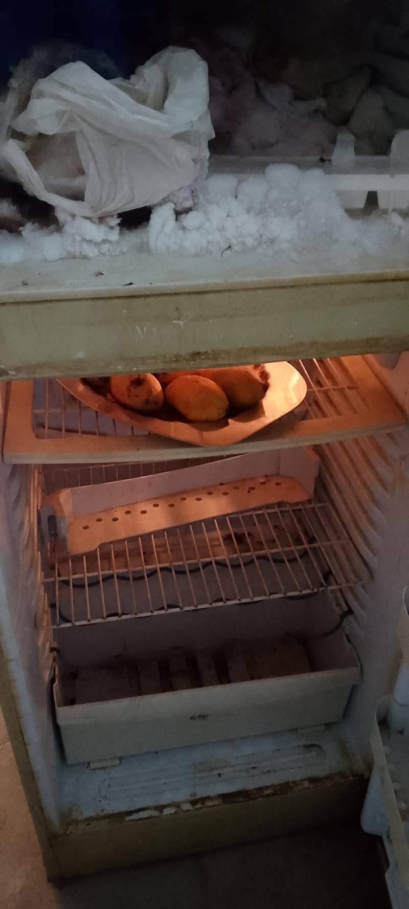 fridge 1