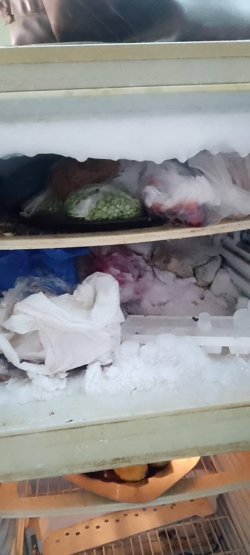 fridge 2