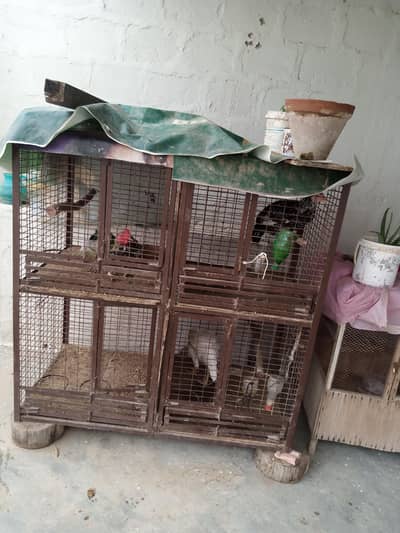 heavy  iron cage frame body