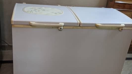 Waves Double Door Deep Freezer