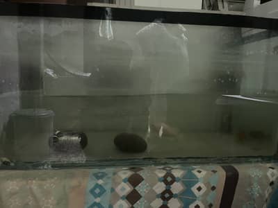 Aquarium