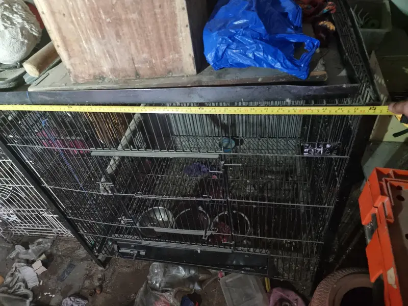 Big Size Cage