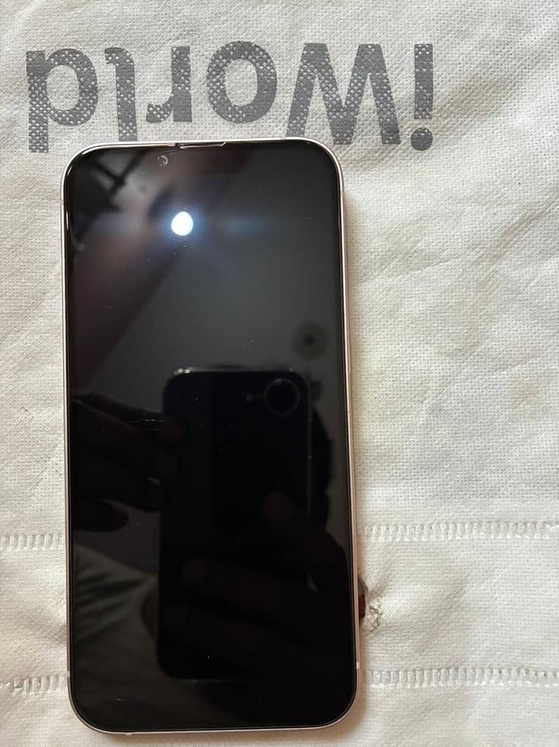 Apple iPhone 13 12