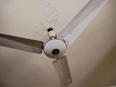 ceiling fan in working condition for sale