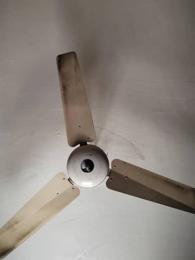 ceiling fan in Good and working condition