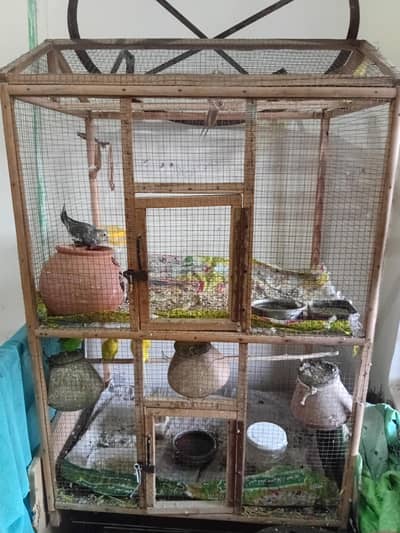 Australian Parrots