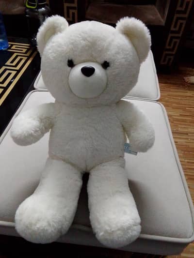 White Teddy bear