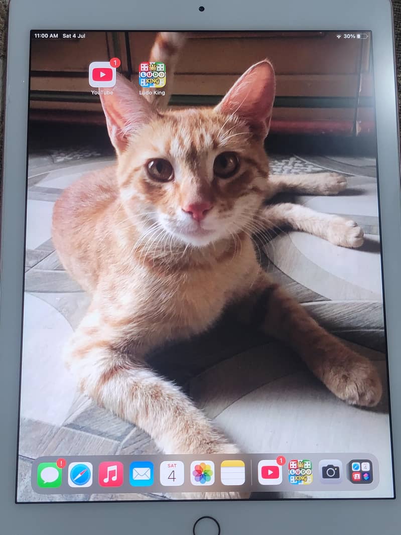 IPad pro 8