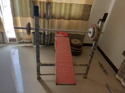 Gym Weight Lifting setup