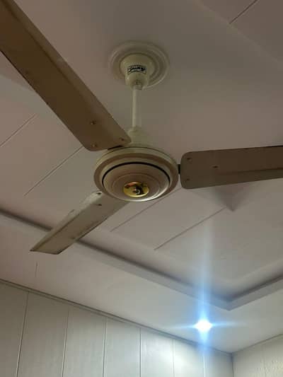 SK and Luminor Fan only one season used