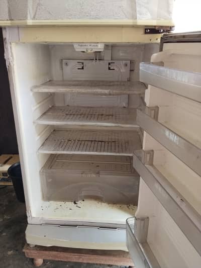 Dawlance Freezer