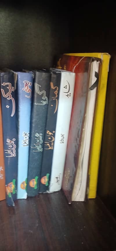 Jaun Elia 6 Books