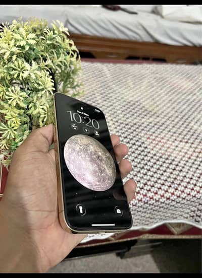 Apple iPhone 12 Pro Max