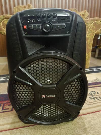 12 inch audionics Bluetooth speakers