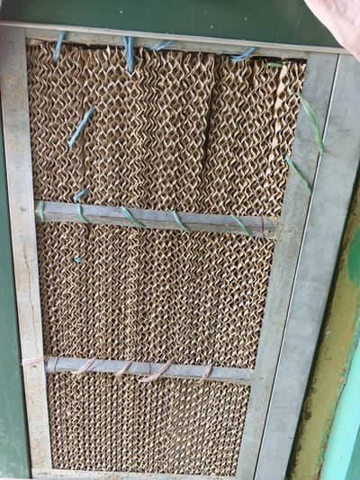 air cooler