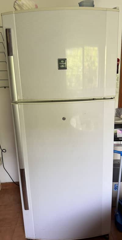 Dawlence and Siemens fridge